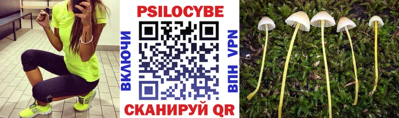 Галлюциногенные грибы GOLDEN TEACHER  маркетплейс состав  ОМГ ОМГ зеркало  Одинцово  наркошоп 