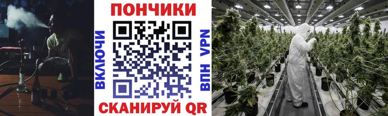 Бошки Шишки ГИДРОПОН  Одинцово 